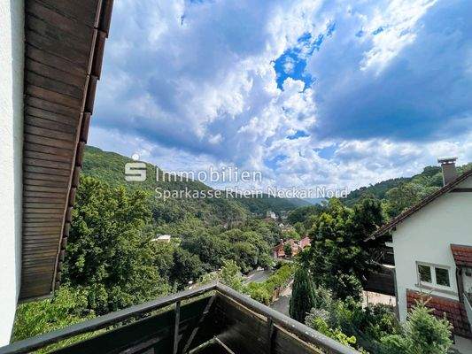 Blick vom Balkon im OG