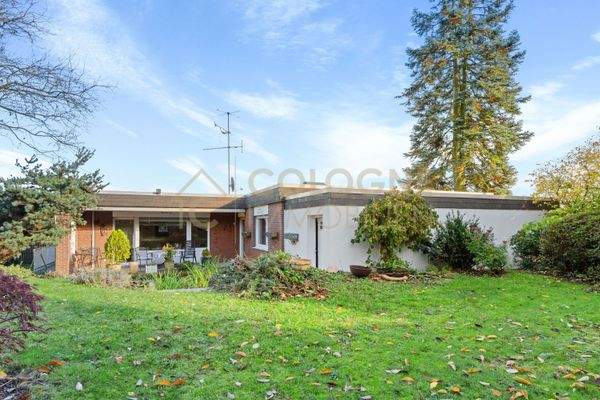 Große Rasenfläche im Garten