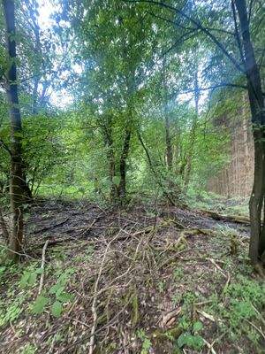 teilweise Oberflächenwasser