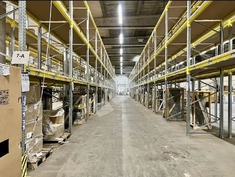 Dortmund Halle, Dortmund Hallenfläche