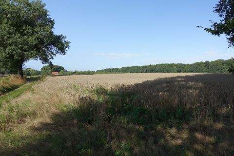Staffhorst Bauernhöfe, Landwirtschaft, Staffhorst Forstwirtschaft