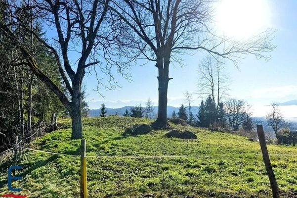 bauland-grundstuck-in-st-urban-feldkirchen-in-karnten-zu-kaufen6