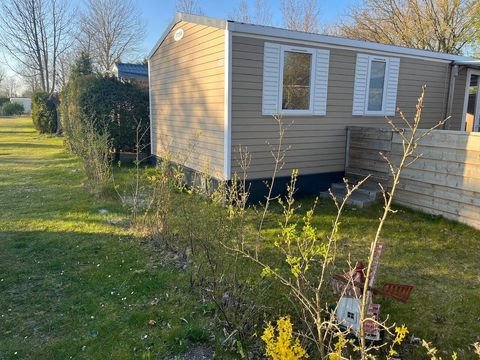 Lauwersoog Häuser, Lauwersoog Haus kaufen