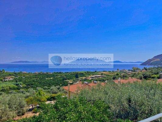 0e2da1fb17574479bf6903b363ea0522-original