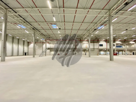 INFOS UNTER: 06171-586000