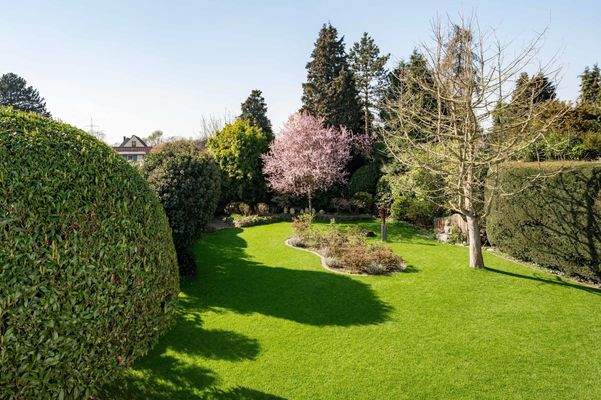 wunderschöner Garten