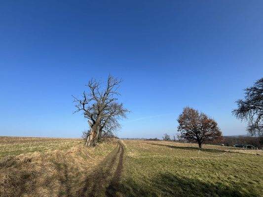 Ausblick des Objektes