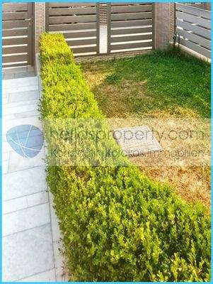 afd0215c222145f385f184d7f95af9e7-original