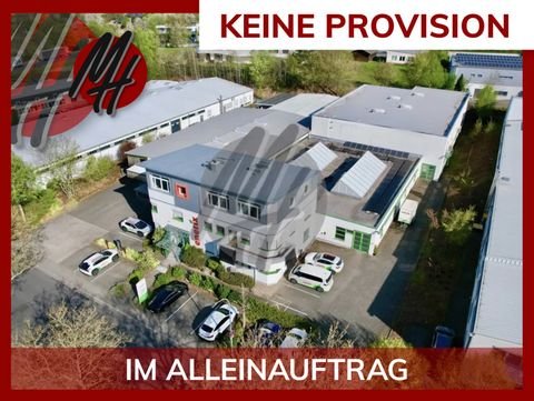 Hösbach Halle, Hösbach Hallenfläche