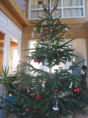 Wohnzimmer/Bar/Luftraum 