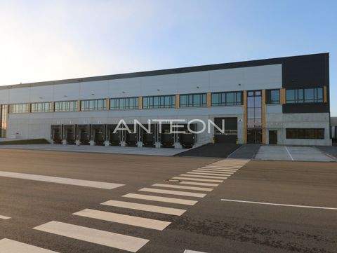 Mönchengladbach Halle, Mönchengladbach Hallenfläche