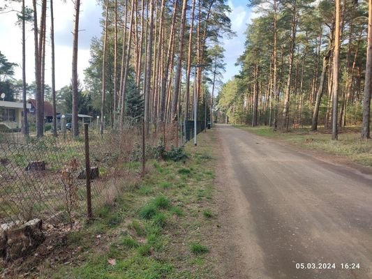 Straße vor dem Grundstück