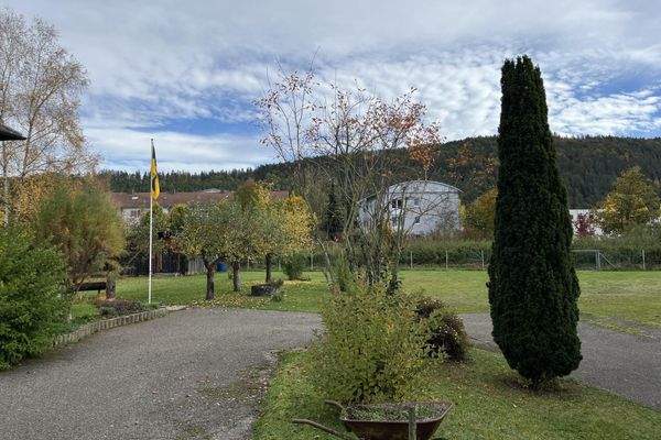 Blick ins Grundstück mit befestigter Zufahrt