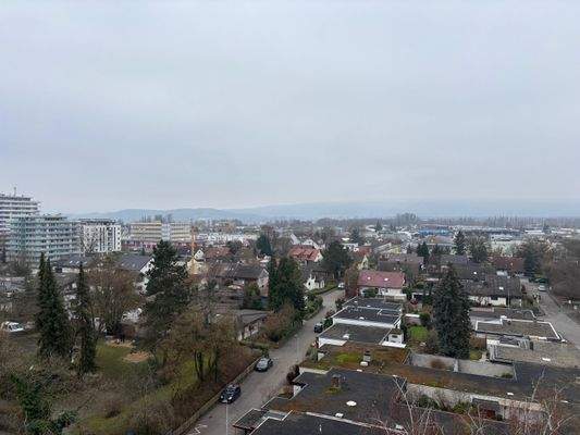 Blick vom Wintergarten