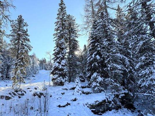 .. nur ein Katzensprung zur Märchenwald-Abfahrt