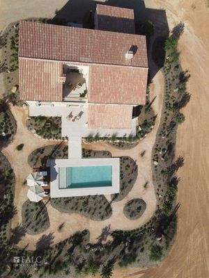 WhatsApp Image 2024-10-14 at 20.44.58