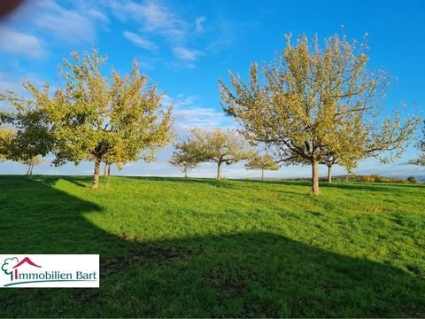 Kastel-Staadt Grundstücke, Kastel-Staadt Grundstück kaufen