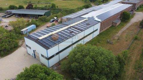 Harbke Halle, Harbke Hallenfläche