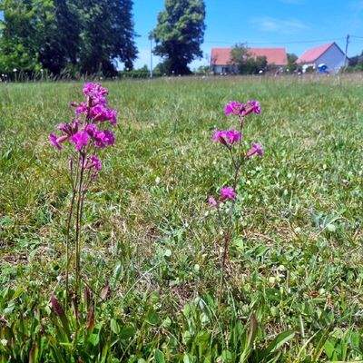 Baugrundstück Bild 10