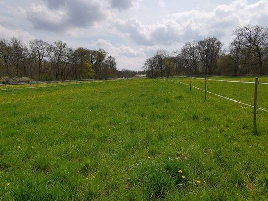 Eine unverbaubare Lage auf diesem Grundstück