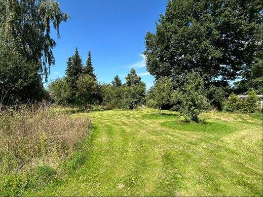 Garten im nördlichen Grundstück