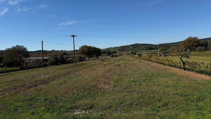 89D21889-12A8-4246-9584-04F42FBE8FE3_1_102_a