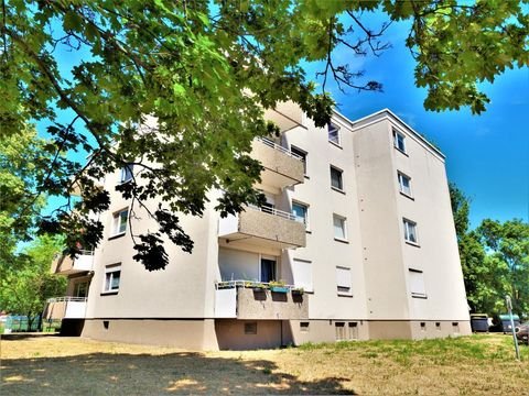 Frankenthal (Pfalz) Wohnungen, Frankenthal (Pfalz) Wohnung mieten