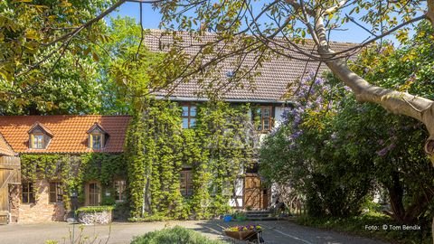 Hohenwarsleben Häuser, Hohenwarsleben Haus kaufen