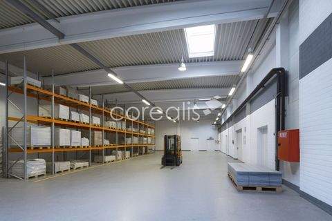 Ratingen Halle, Ratingen Hallenfläche