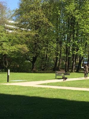 Blick zur Klingsorstraße vom Garten