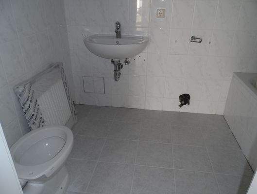 Fliesenboden im Bad 2015 neu