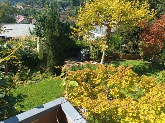 Blick Garten.JPG