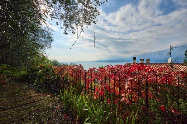 Castelletto - Vi Fasor (Rustico) - IRS_5776 (WEB).