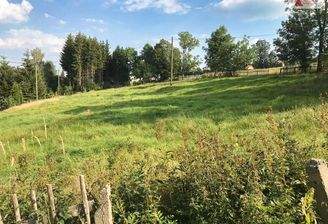 Grundstück, Arnsfeld