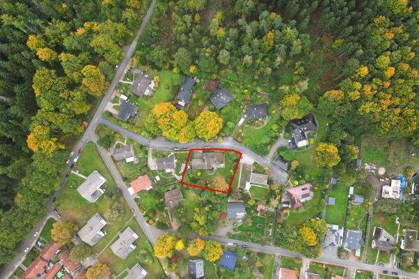 Vogelperspektive - Waldnähe