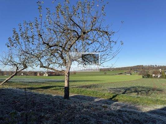 Herrlicher Ausblick!