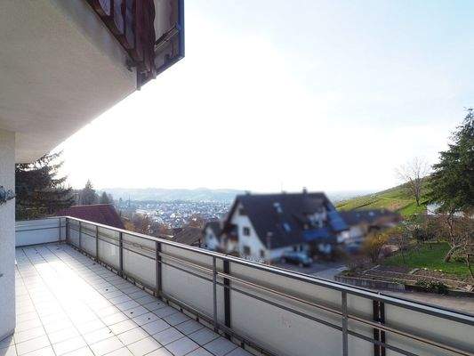 Ausblick auf Weinreben und in die Rheintalebene