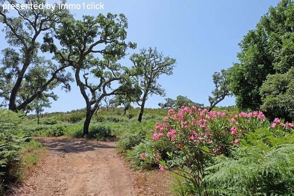 grosse Finca, Jagd, Andalusien, Costa del Sol, Sotogrande zu verkaufen