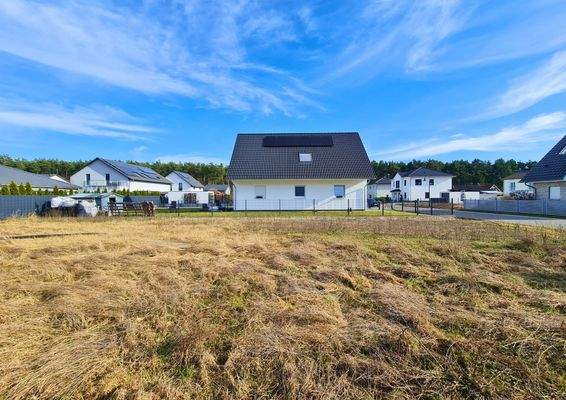 Immer einen Platz in der Sonne