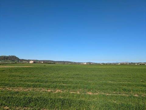 Sineu Grundstücke, Sineu Grundstück kaufen