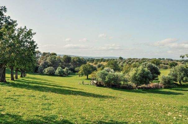 176_12_San Lorenzo_Anwesen_Blick