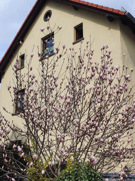 * * * Tolles Haus. 3 Familien können hier leben, ob Eigennutzung oder Vermietung