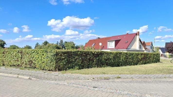 Blick aufs Grundstück