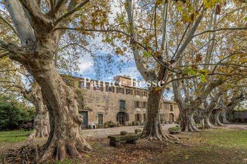 Saint-Rémy-de-Provence Häuser, Saint-Rémy-de-Provence Haus kaufen