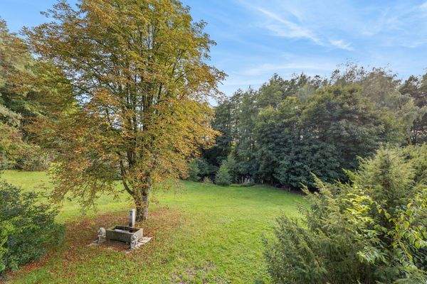 Blick von Balkon auf Garten, Brunnen & Wald