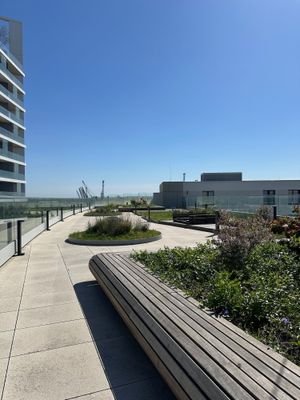 Gemeinschaftsdachterrasse