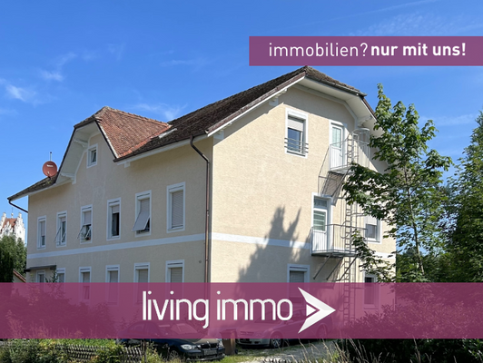 Vorlage Startbild Normal Logo und Fenster living immo Farbe
