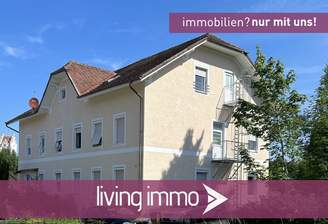 Vorlage Startbild Normal Logo und Fenster living immo Farbe