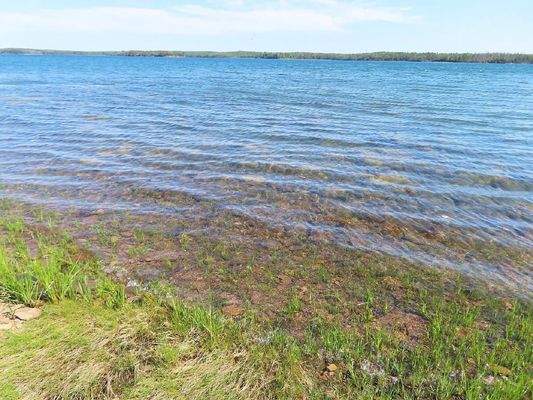 Cape Breton - Tolles Bau-Grundstück mit 12.400 m² 