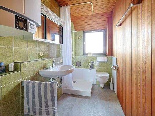 Helles Tageslichtbadezimmer mit Dusche und WC